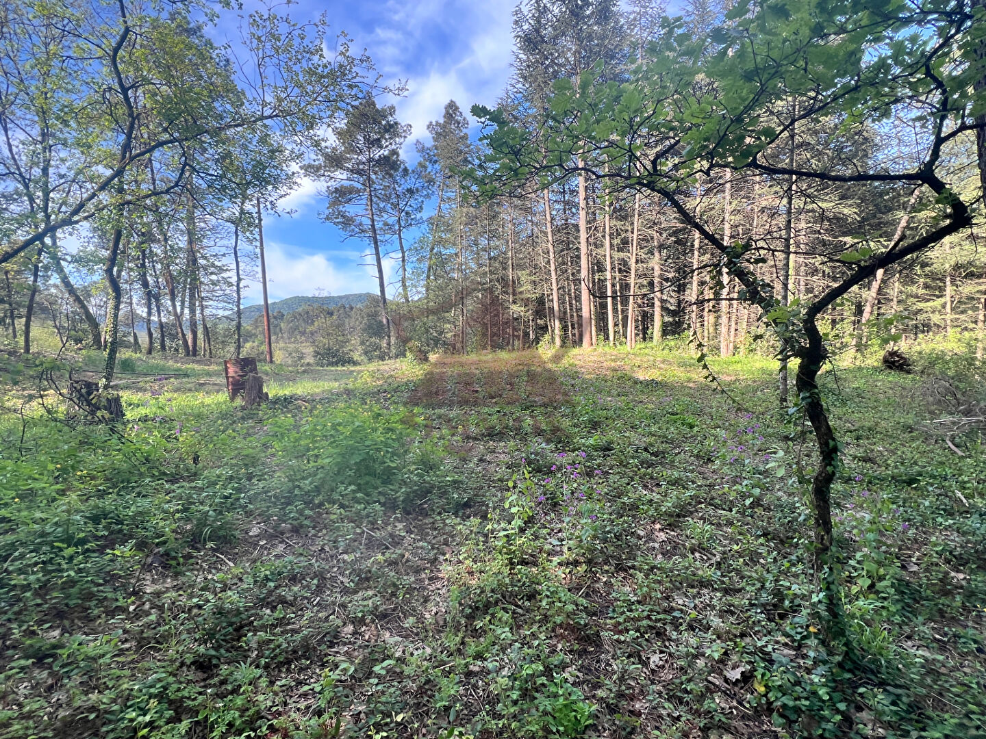 Photo Terrain Gagnieres image 2/6