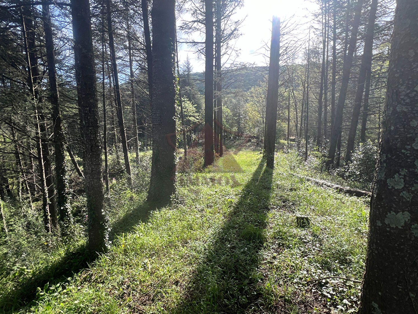 Photo Terrain Gagnieres image 6/6