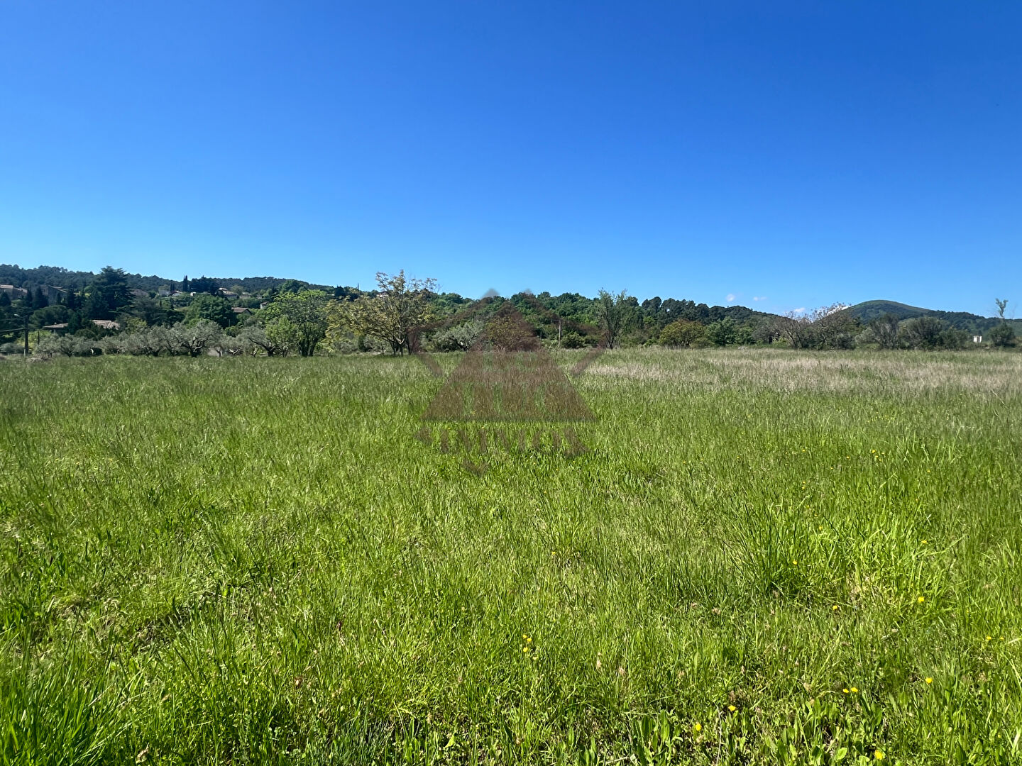 Photo Terrain calme - possibilité deux maisons image 1/3
