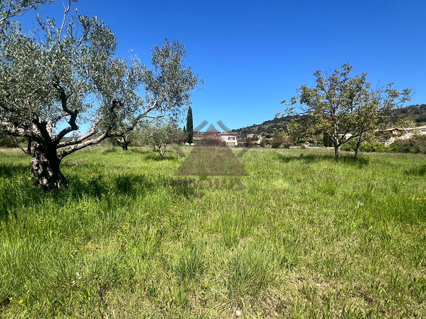 Photo Terrain au calme de 1 900 m² image 3/4