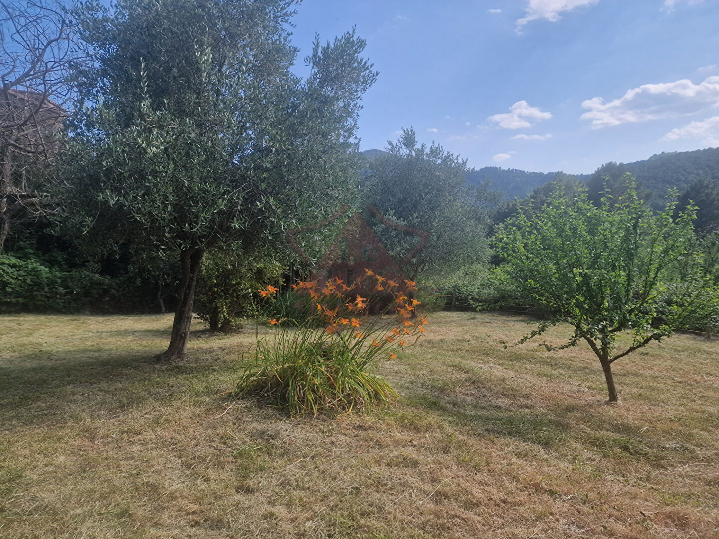 Photo ensemble immobilier en pleine nature image 3/6