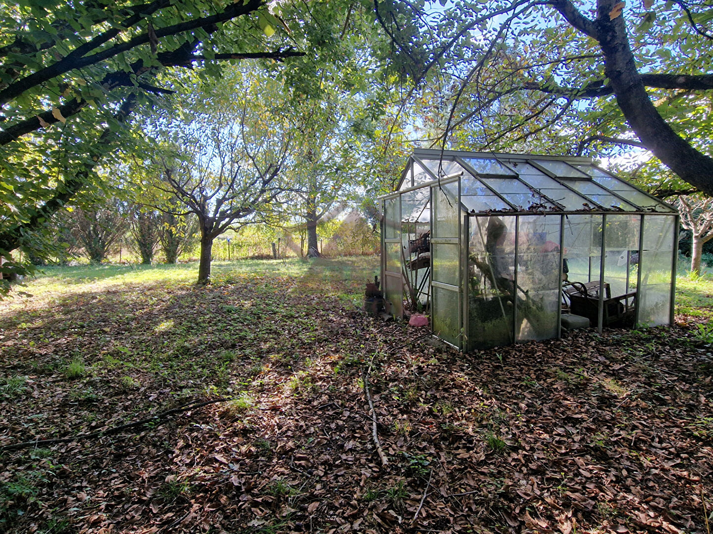 Photo Bungalow isolé en pleine nature sur 2700 m² de terrain image 6/6