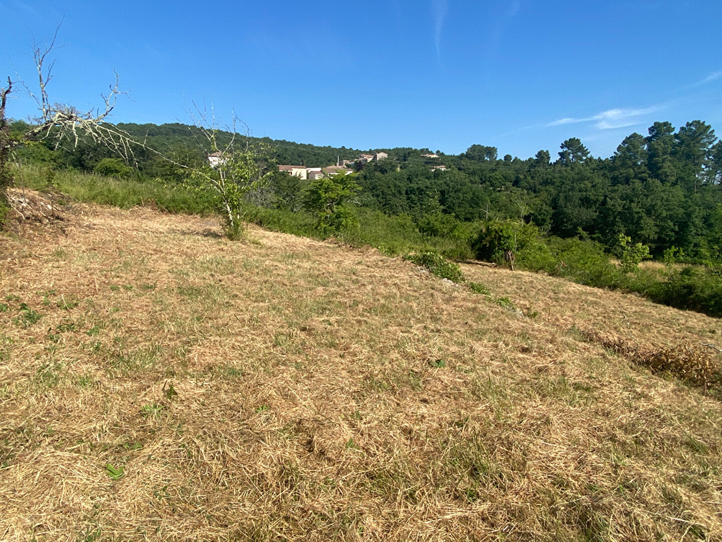 Terrain - environnement magnifique