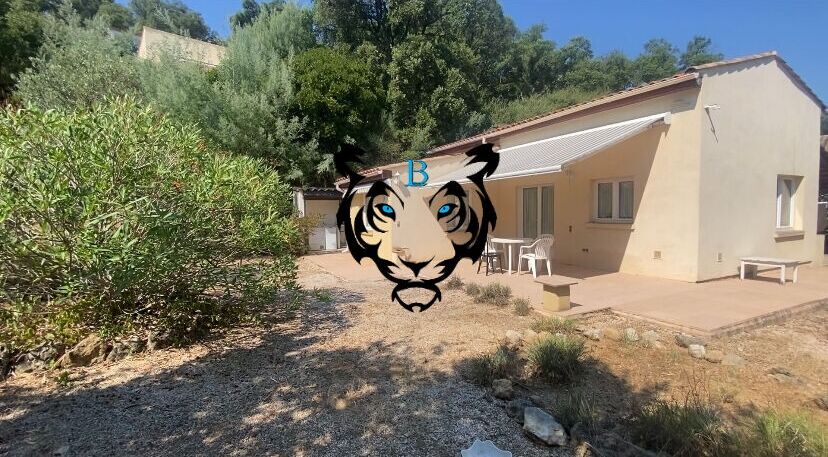 Agence immobilière de BENICIMMO