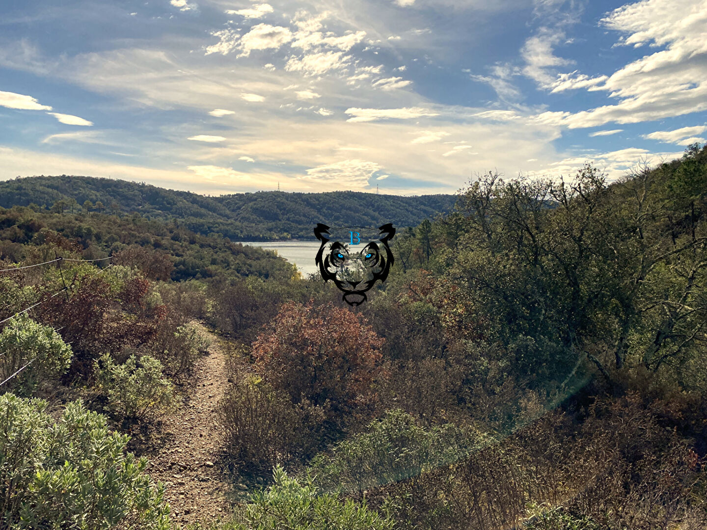 Agence immobilière de BENICIMMO