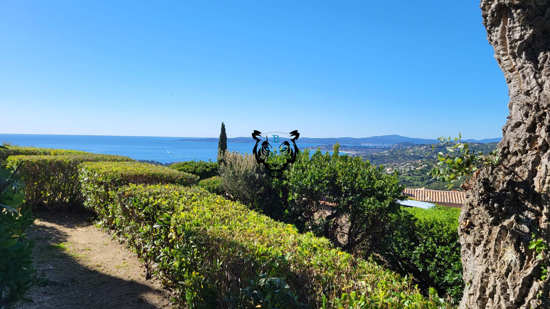 Agence immobilière de BENICIMMO