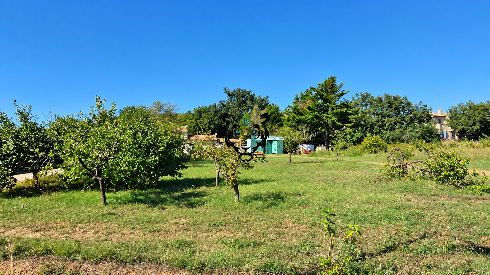 Agence immobilière de BENICIMMO