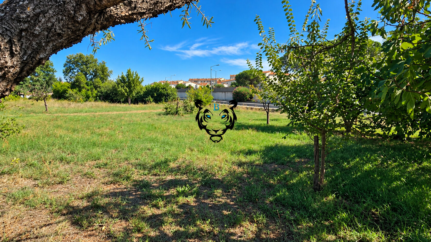 Agence immobilière de BENICIMMO