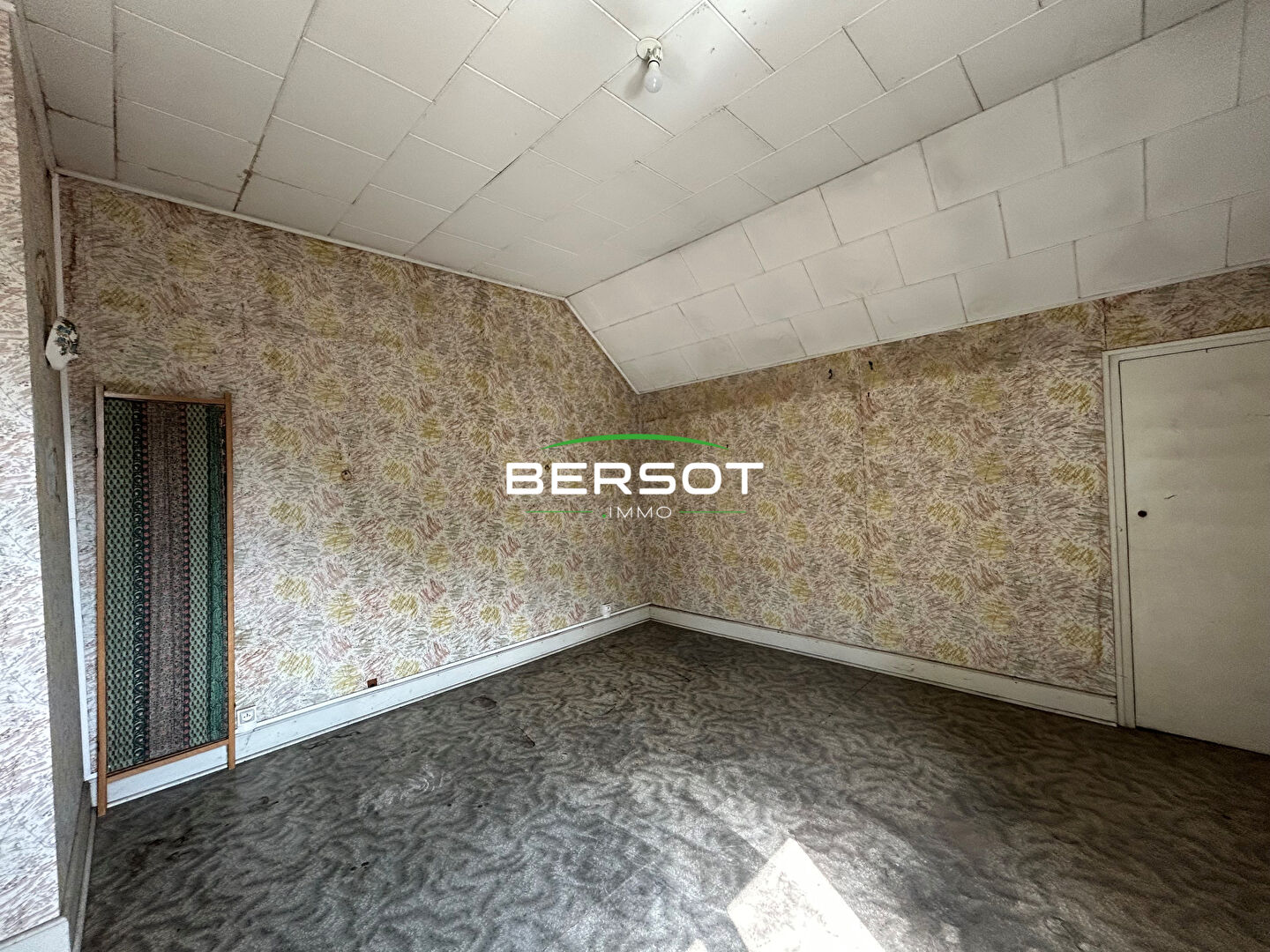 Ensemble immobilier à rénover fort potentiel proche frontière suisse