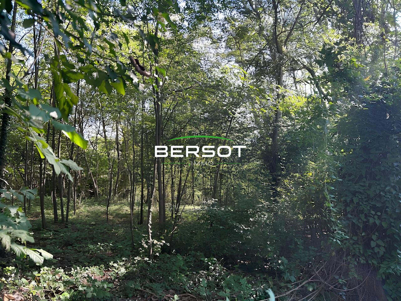 Agence immobilière de BERSOT IMMOBILIER Besançon