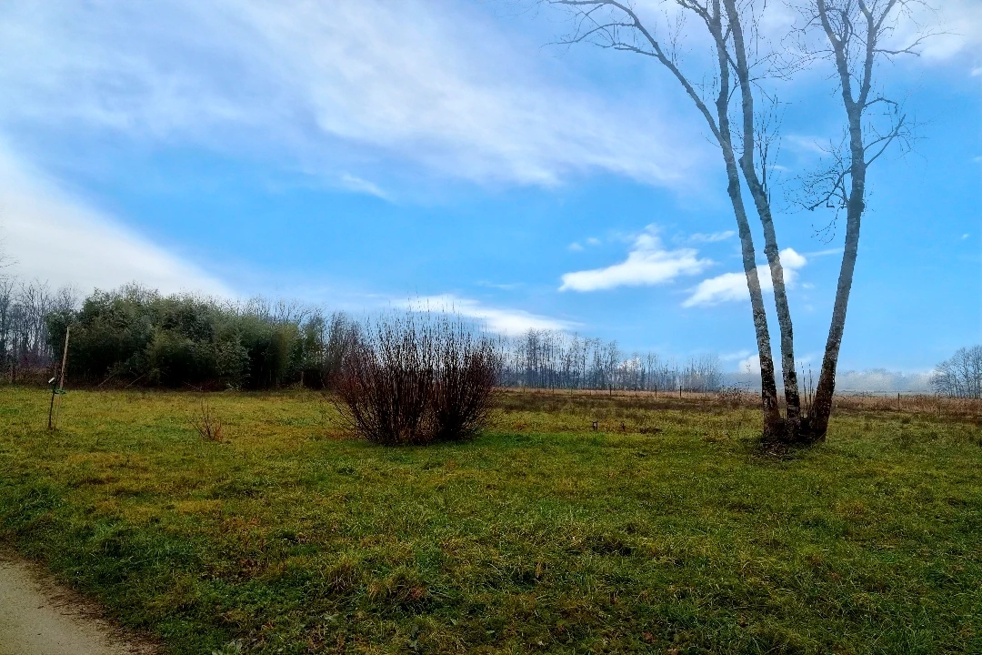 Agence immobilière de BERSOT IMMOBILIER Arbois