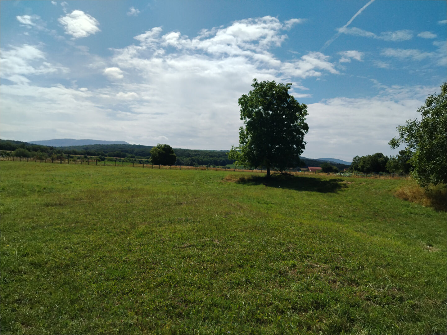 Agence immobilière de BERSOT IMMOBILIER Arbois
