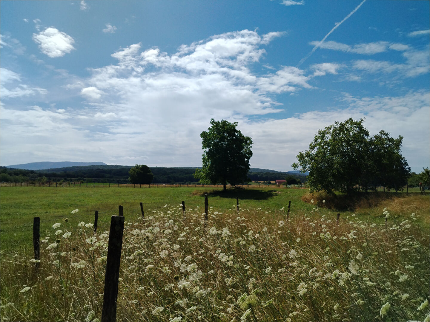 Agence immobilière de BERSOT IMMOBILIER Arbois