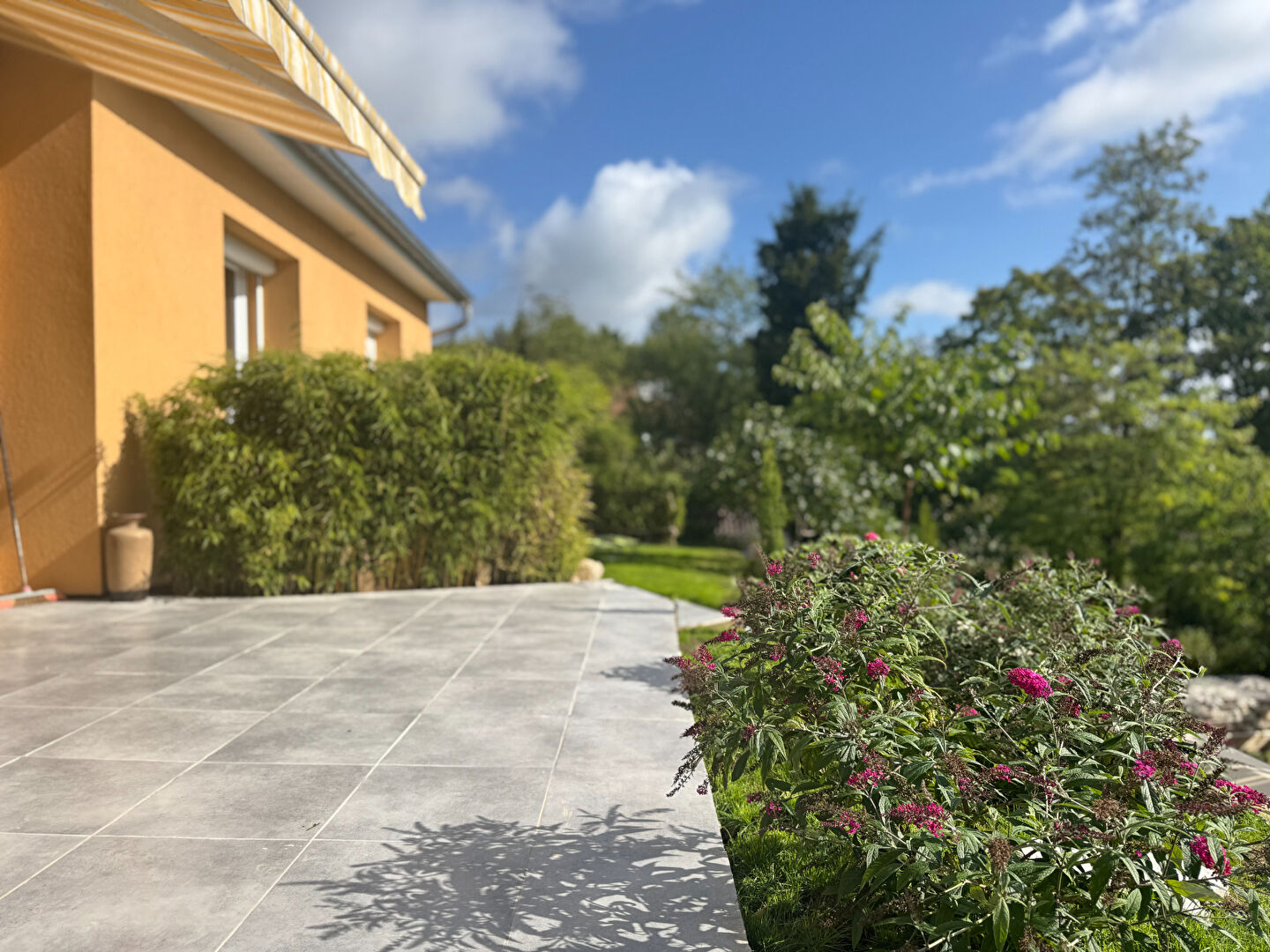 Agence immobilière de BERSOT IMMOBILIER Dole