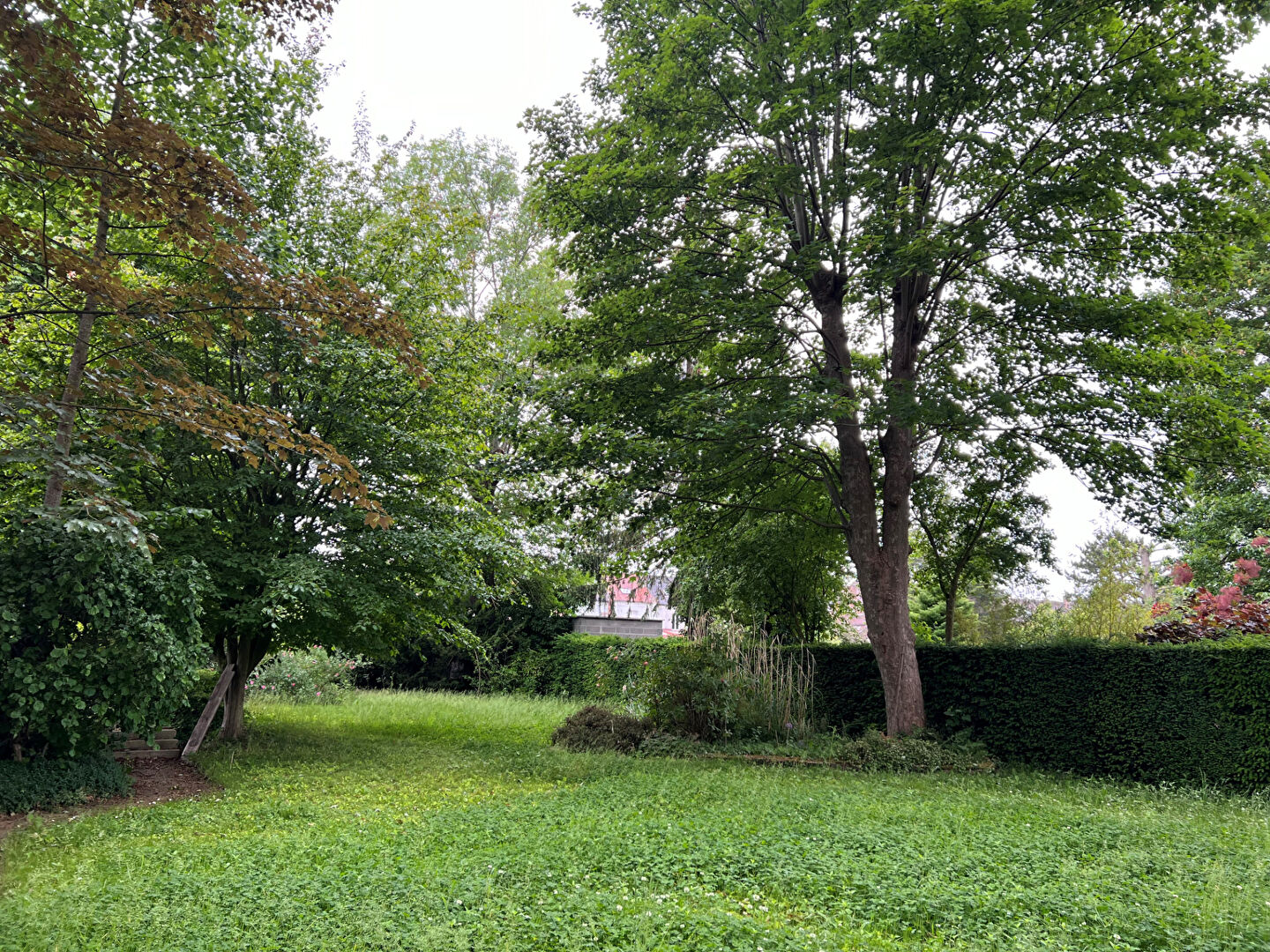 Agence immobilière de Bethune Immobilier