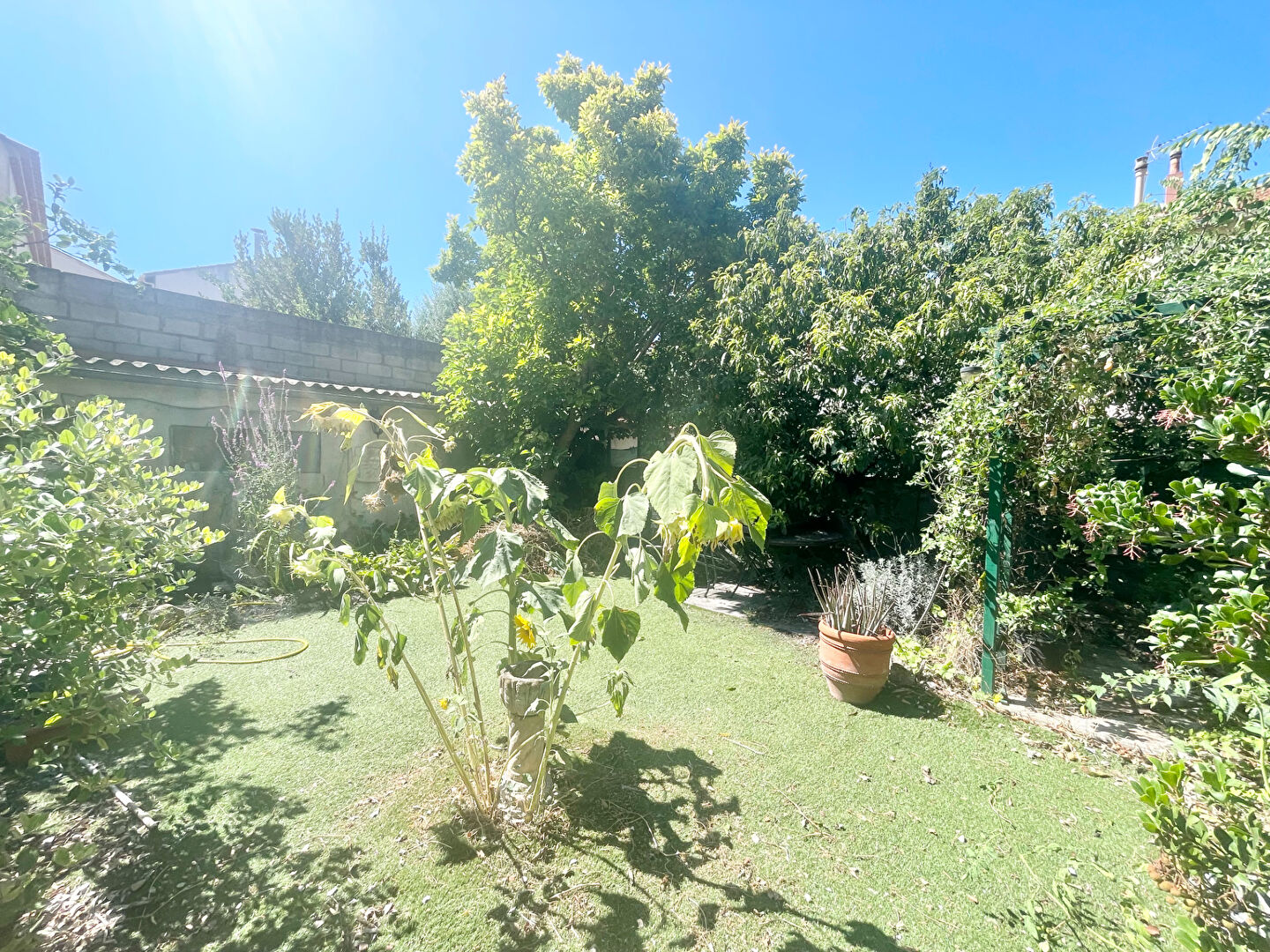 Photo Maison Mitoyenne R+1 Sainte-Marguerite 13009 Marseille 7 pièce(s) 176 m² sur parcelle de terrain de 254 m² intégrant ( Véranda + Atelier + Jardin ) image 3/6