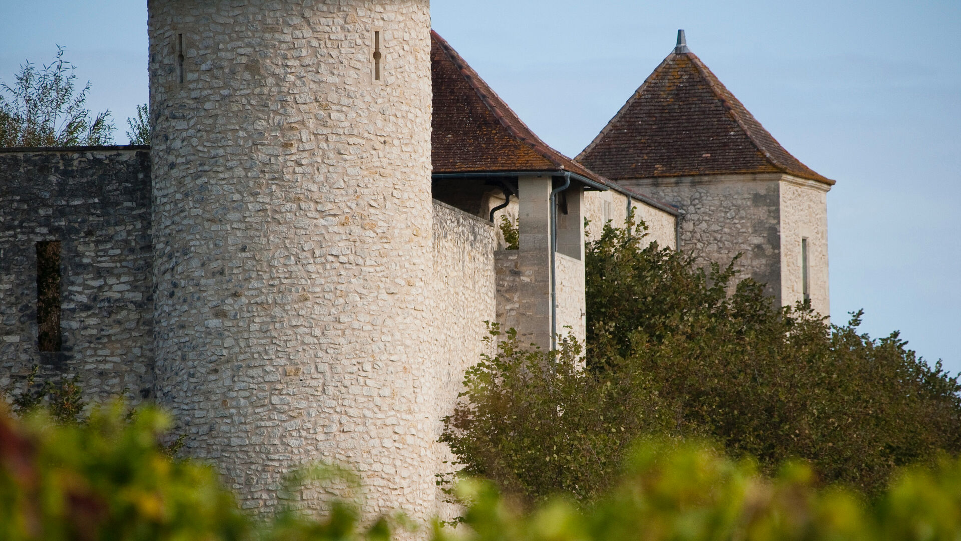 Agricole-viticole 
SAINT ANDRE DE CUBZAC
 5034