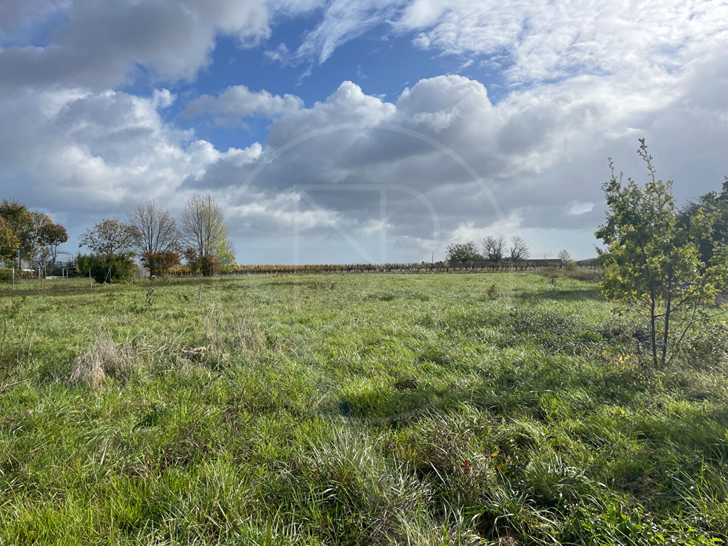 Terrain 
VELINES
 5231