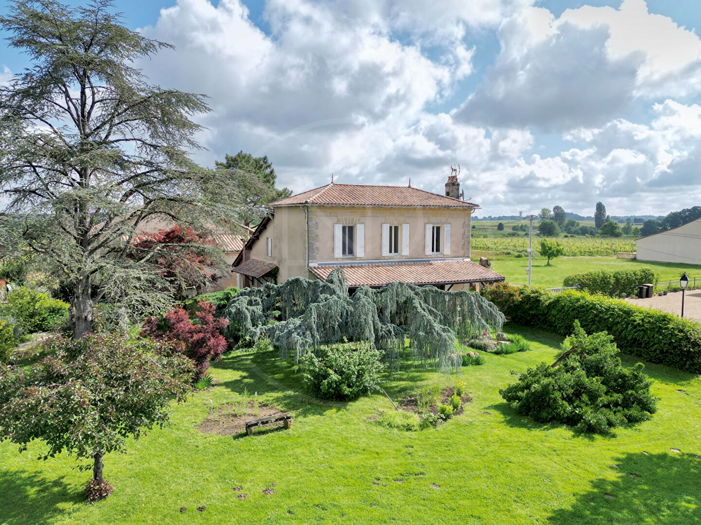 Maison de charme avec vue sur les vignes