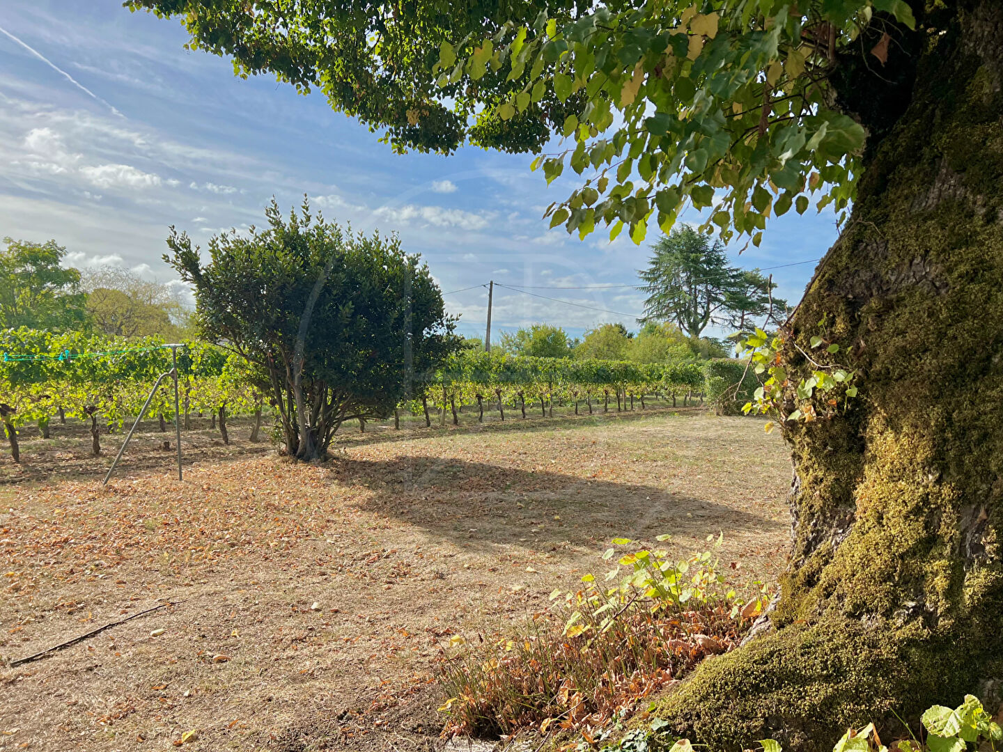 Maison 9 pièces 271 m² · à Vayres · 271 m² · 494 000 €