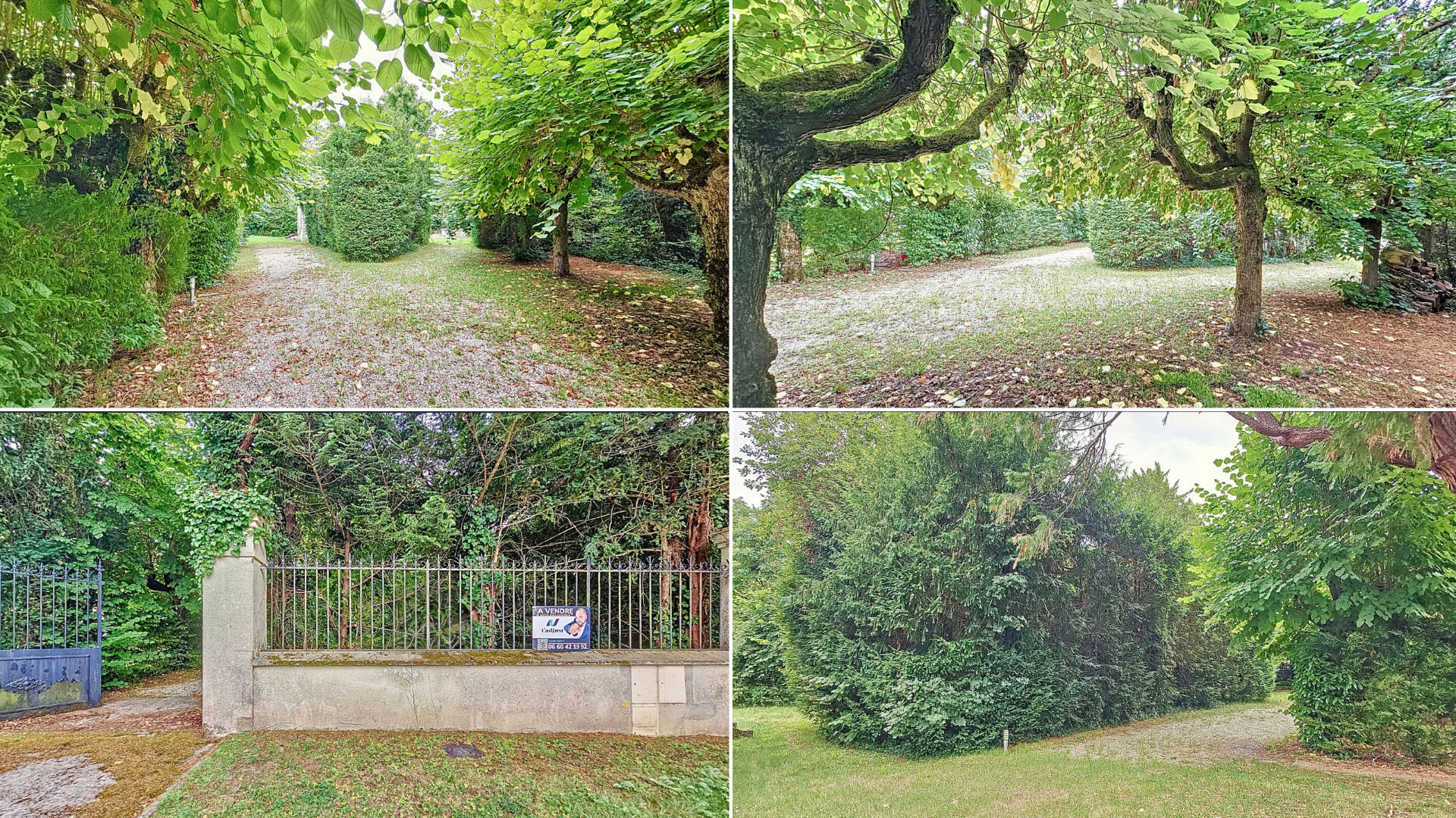 Photo SAMOREAU (8mn de FONTAINEBLEAU et à 1h de PARIS) Terrain à bâtir de 804 m² arboré, façade de 28m image 2/6