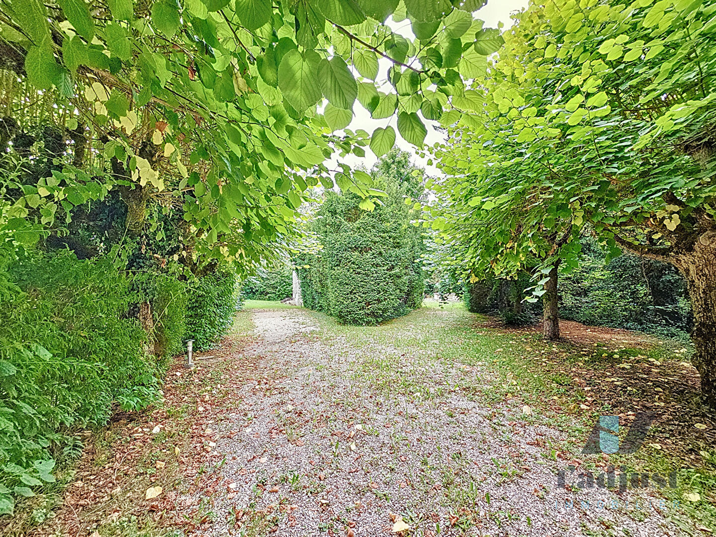 Photo SAMOREAU (8mn de FONTAINEBLEAU et à 1h de PARIS) Terrain à bâtir de 804 m² arboré, façade de 28m image 4/6