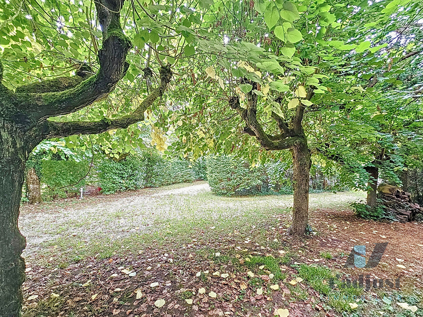 Photo SAMOREAU (8mn de FONTAINEBLEAU et à 1h de PARIS) Terrain à bâtir de 804 m² arboré, façade de 28m image 5/6