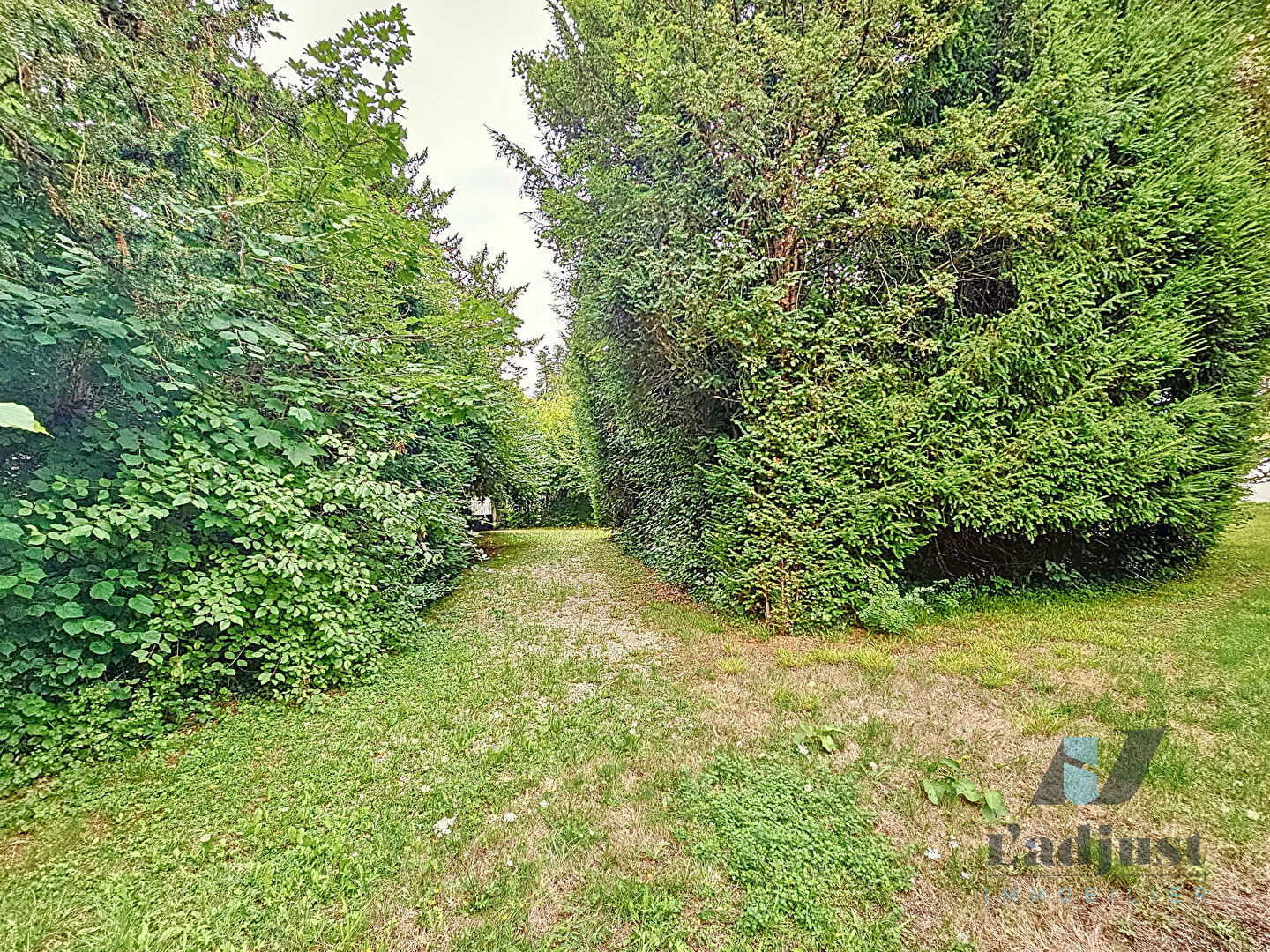 Photo SAMOREAU (8mn de FONTAINEBLEAU et à 1h de PARIS) Terrain à bâtir de 804 m² arboré, façade de 28m image 6/6