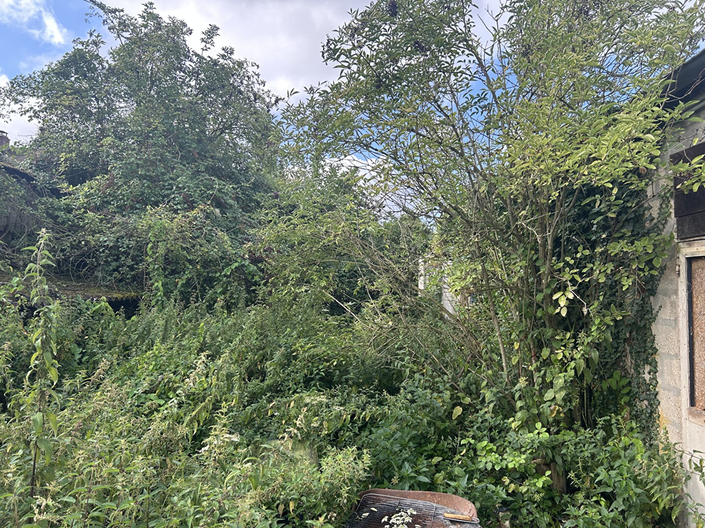 Photo Terrain Le Chatelet En Brie 3160 m2 image 4/6