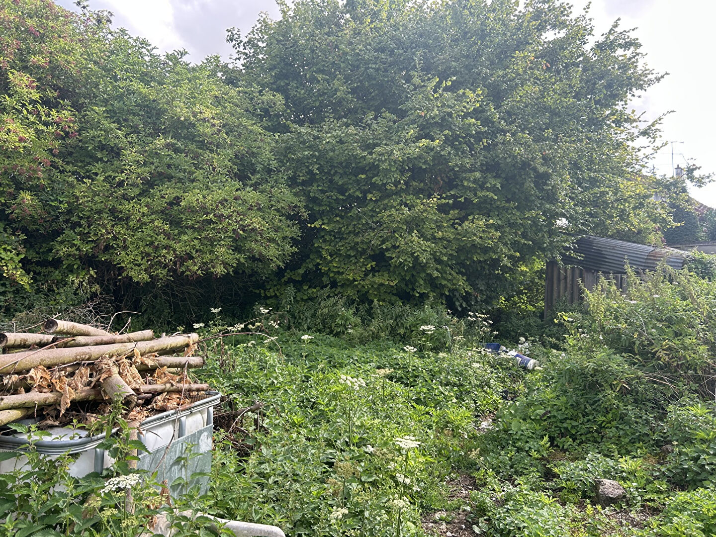 Photo Terrain Le Chatelet En Brie 3160 m2 image 5/6