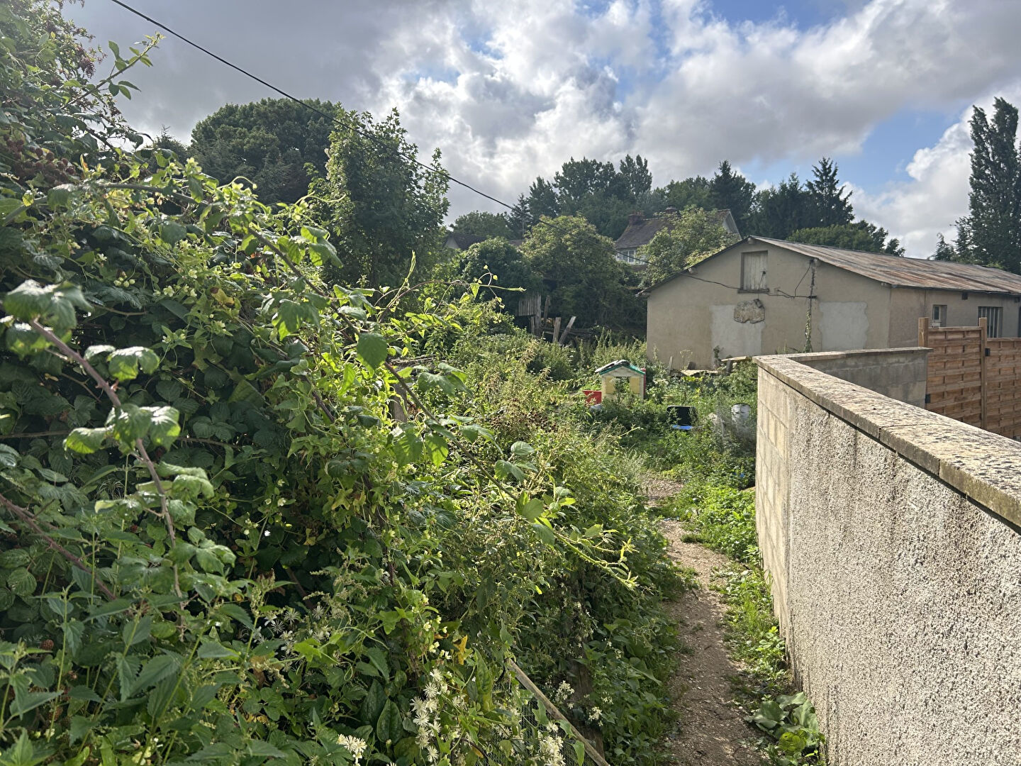 Photo Terrain Le Chatelet En Brie 3160 m2 image 6/6