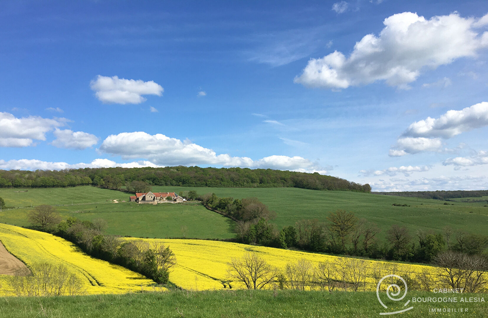 Photo Maison Pouilly En Auxois 12 pièce(s) 280 m2 image 2/6