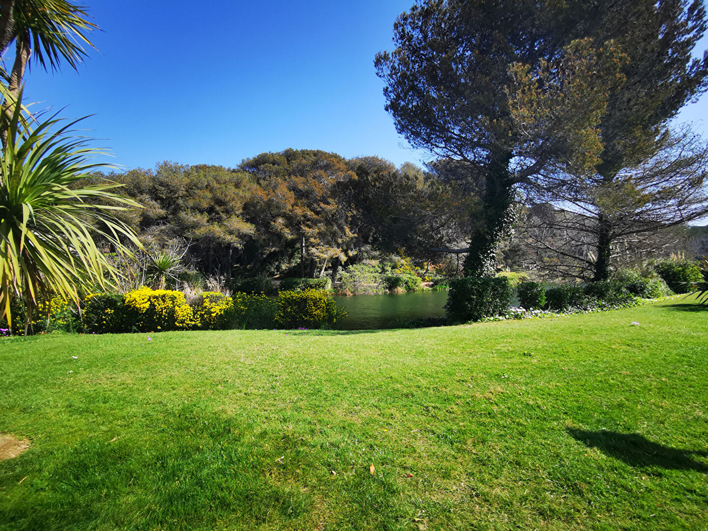 Photo Appartement type T1 avec loggia image 6/6