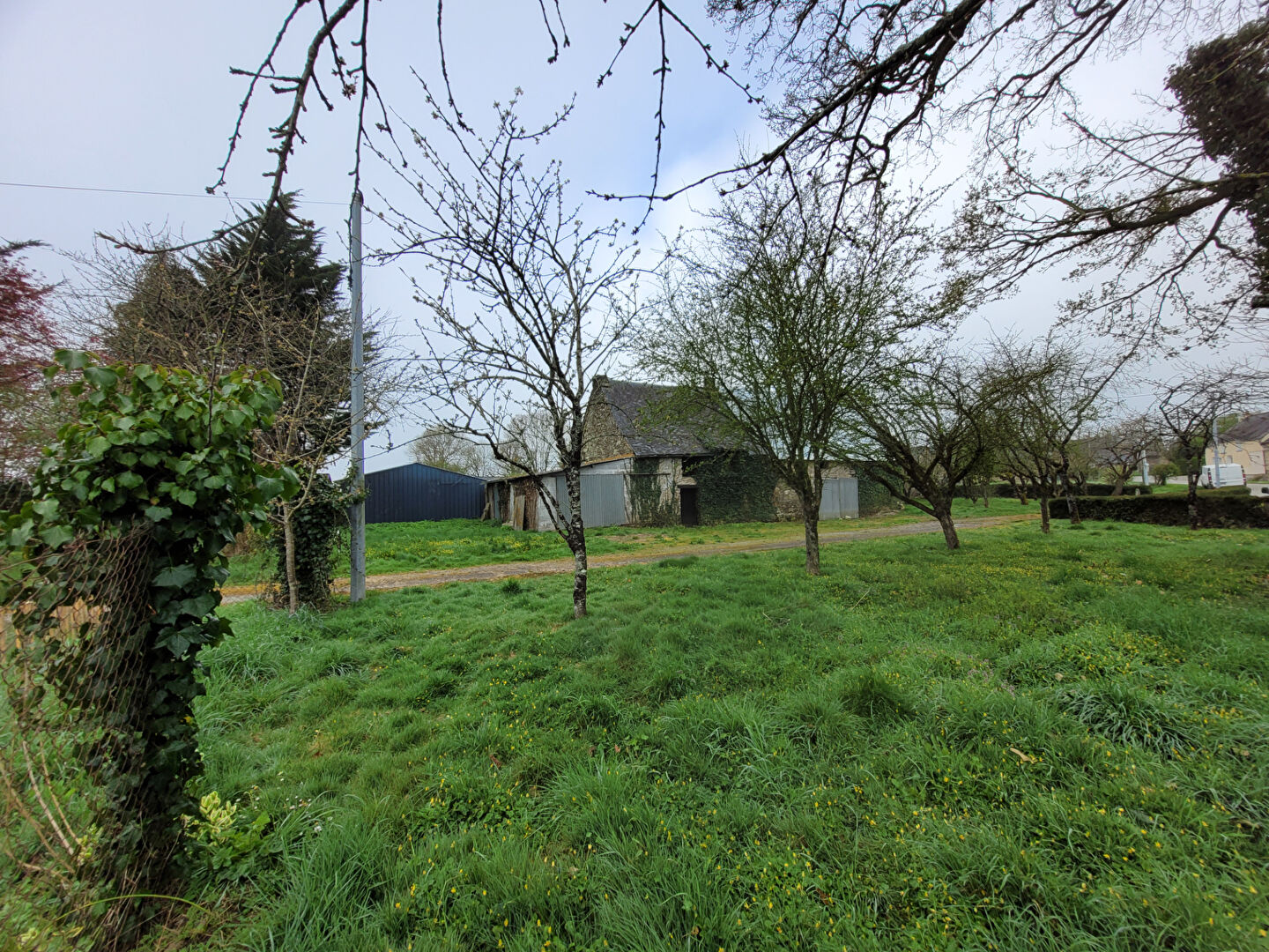 Agence immobilière de Cabinet BARTH Immobilier - BREAL-SOUS-MONTFORT