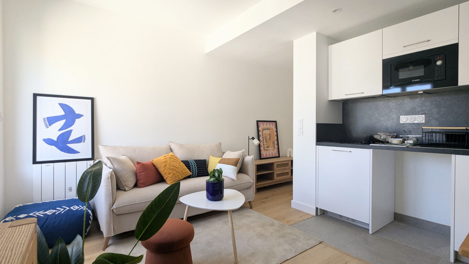 Photo Studio 21.5 m2 - PLACE SAINT-GERMAIN image 4/6