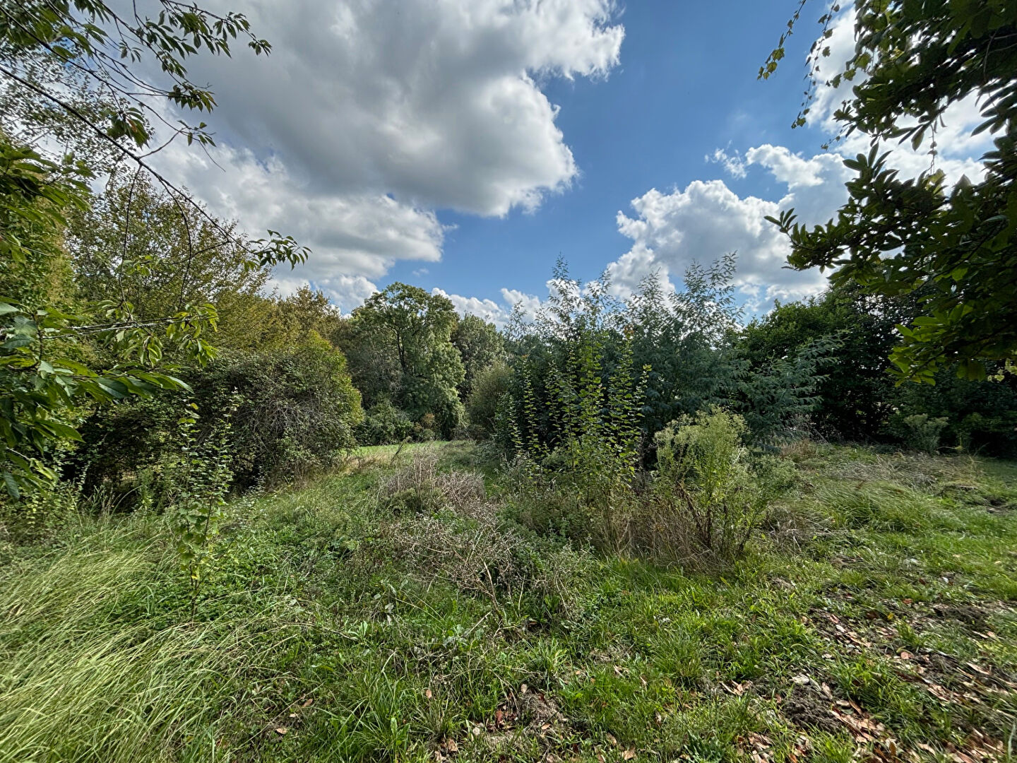 Photo Terrain Creon 757 m2 image 3/3