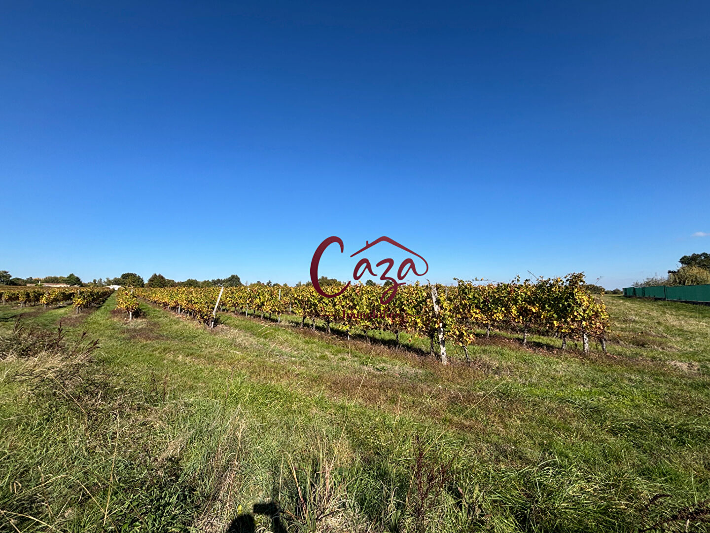 Photo Terrain - Secteur CREON image 3/3