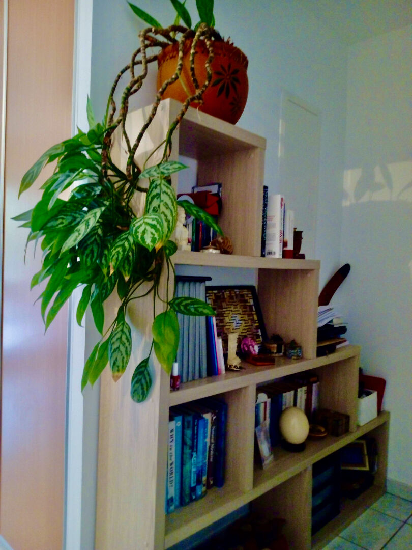 Photo Appartement Saint Denis, loué,  2 pièce(s) 48.74 m2 image 6/6