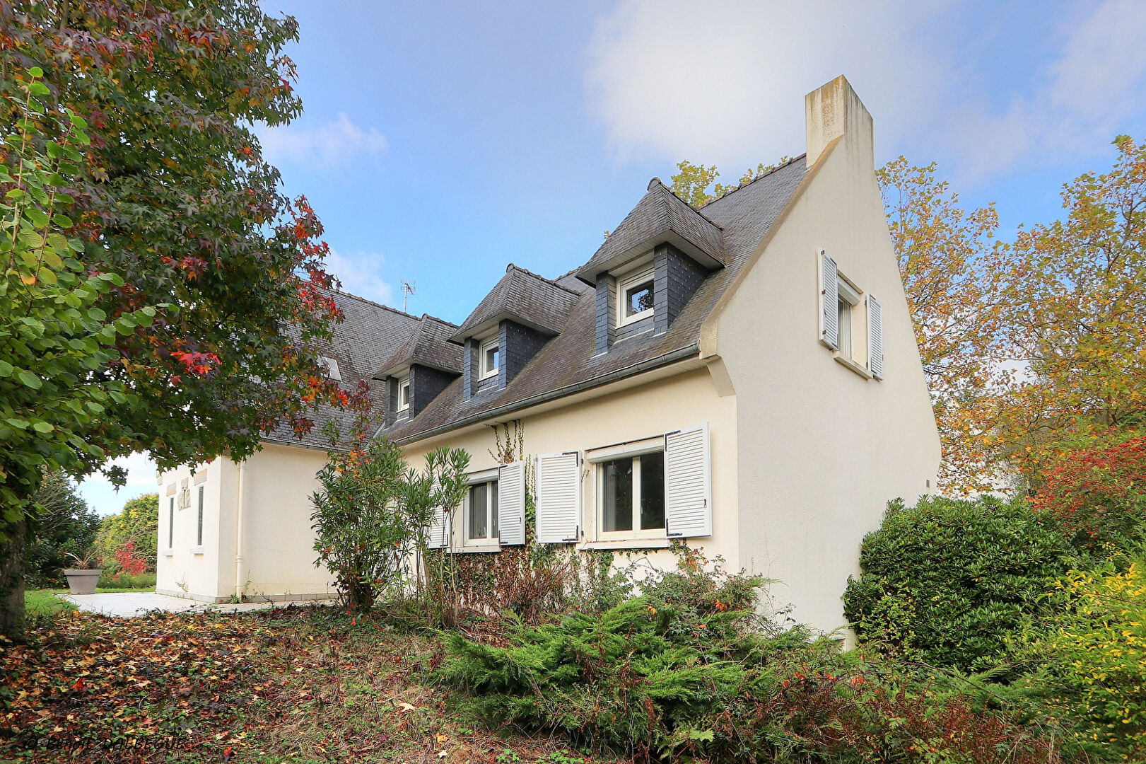 property-image