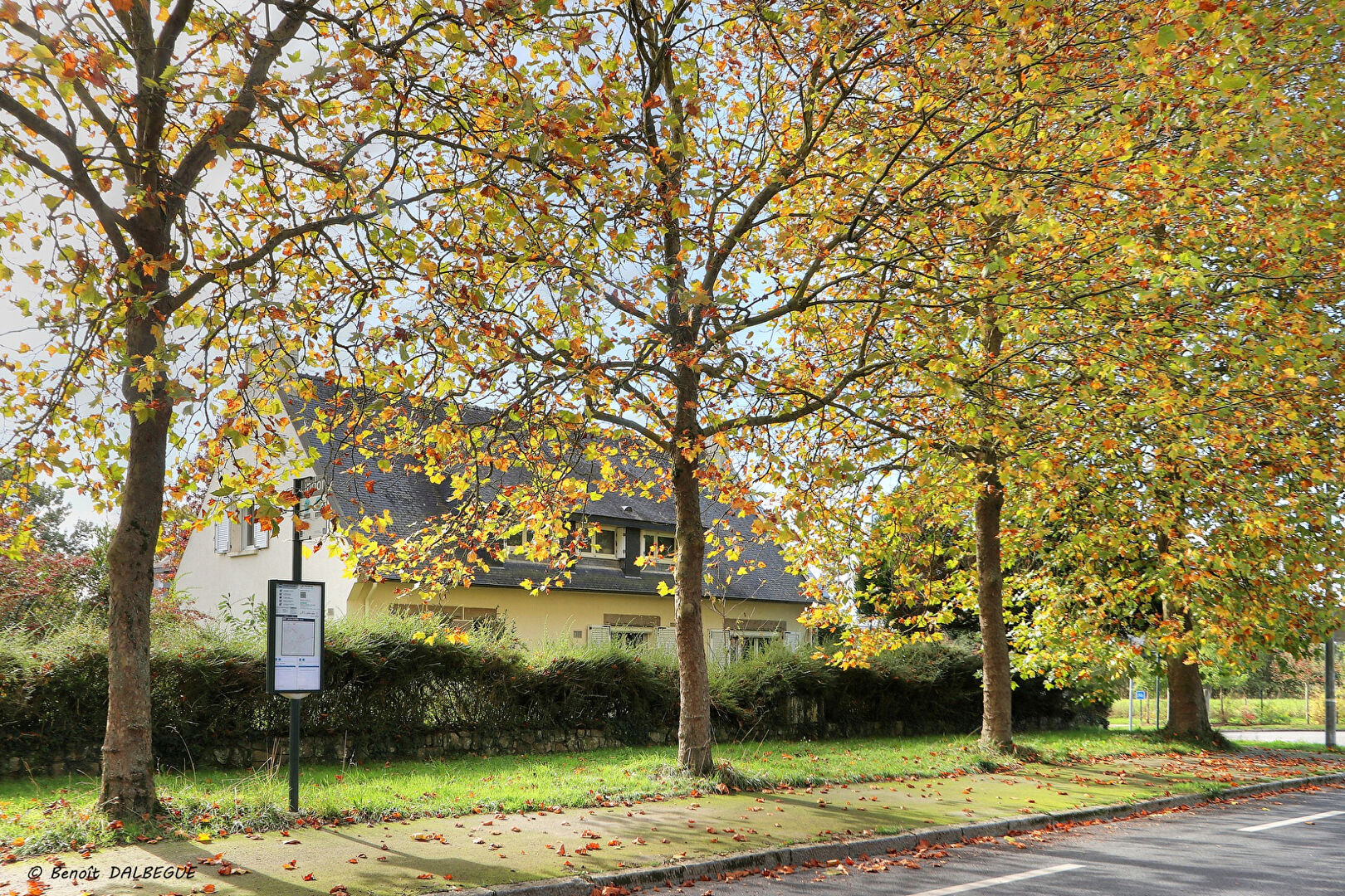 property-image