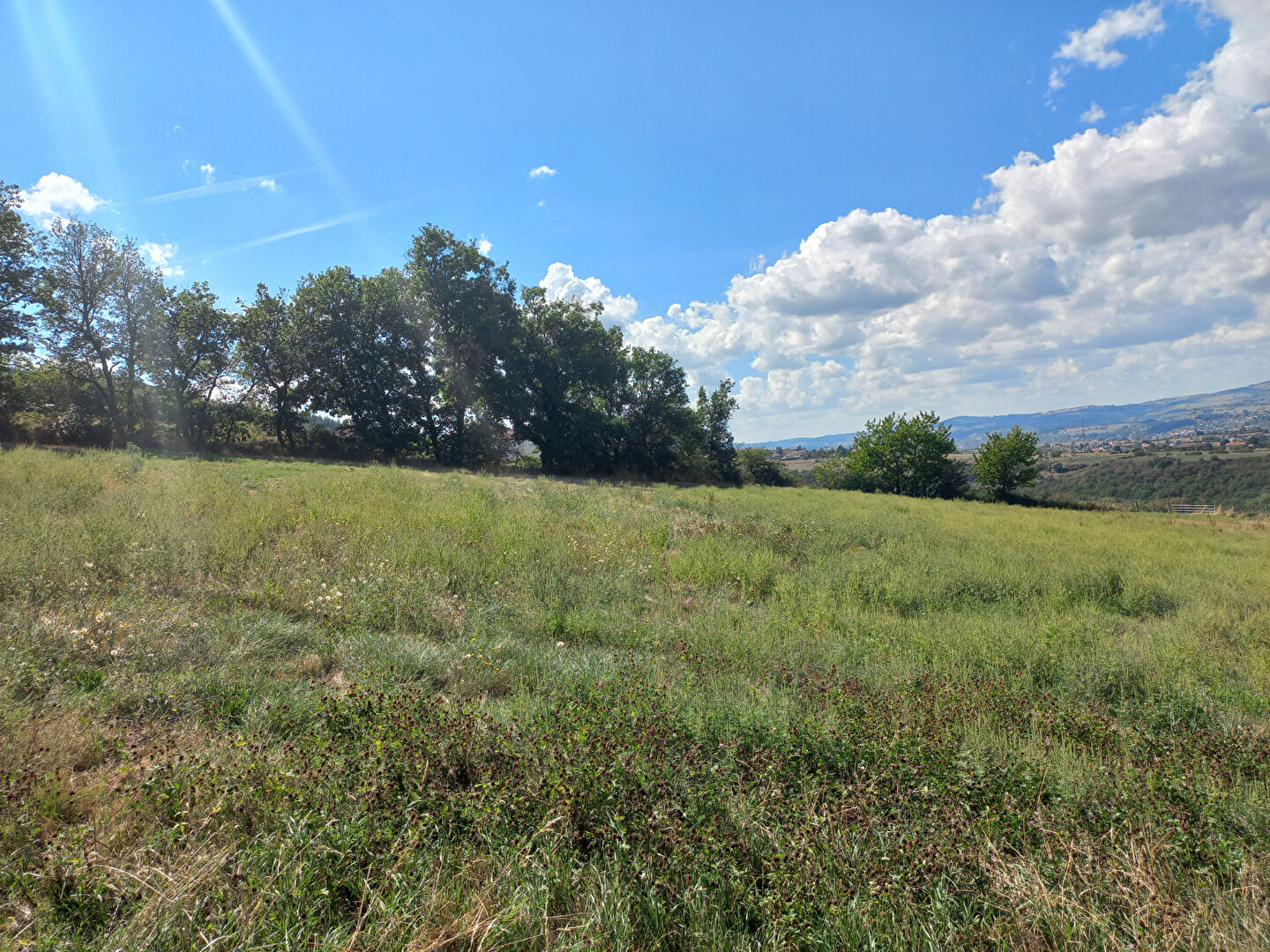 Photo CHATEAUNEUF image 2/3