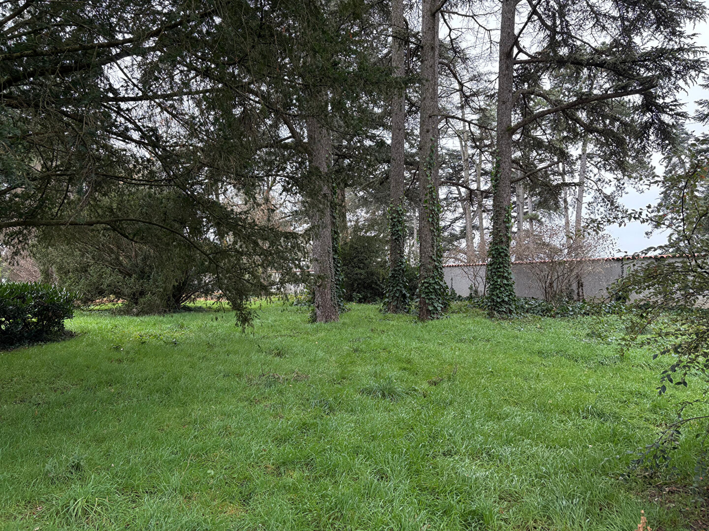 Photo Terrain (795 m²) Ref 616 image 2/2