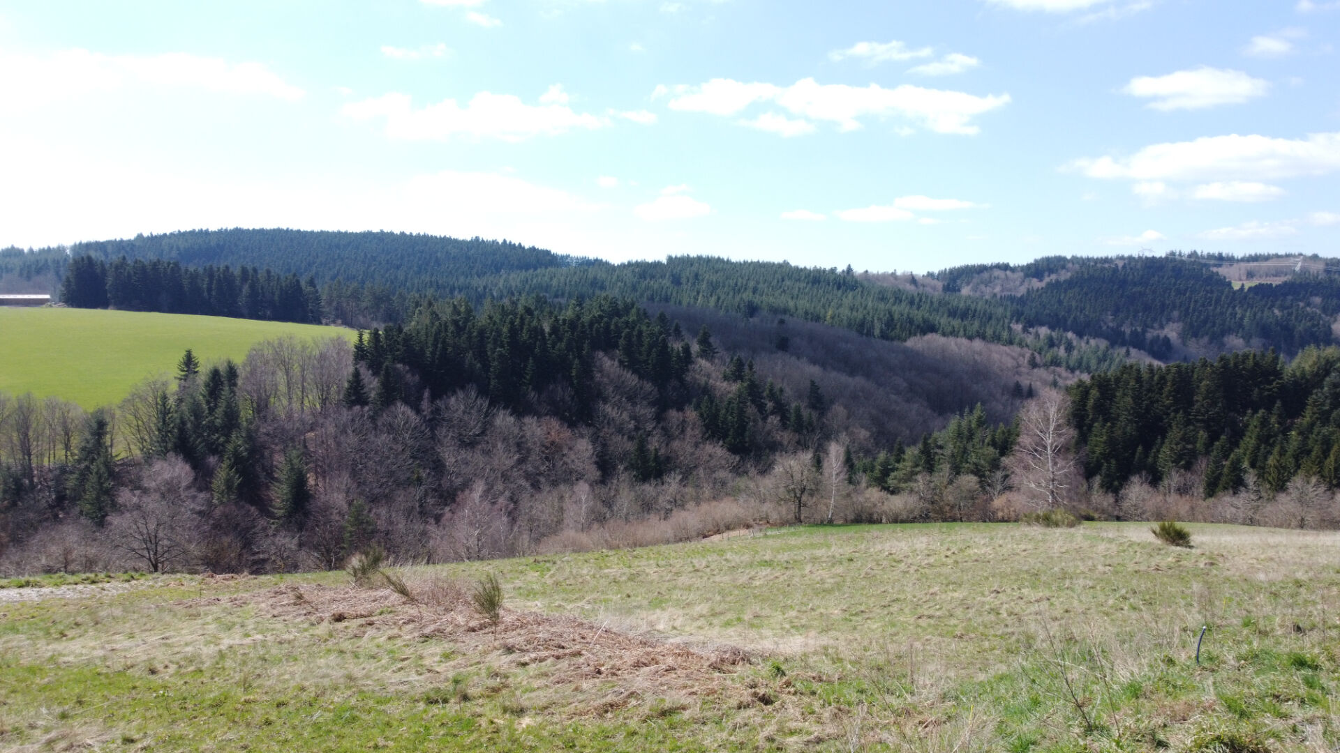 Terrain Saint Romain Les Atheux 550 m² Ref 322