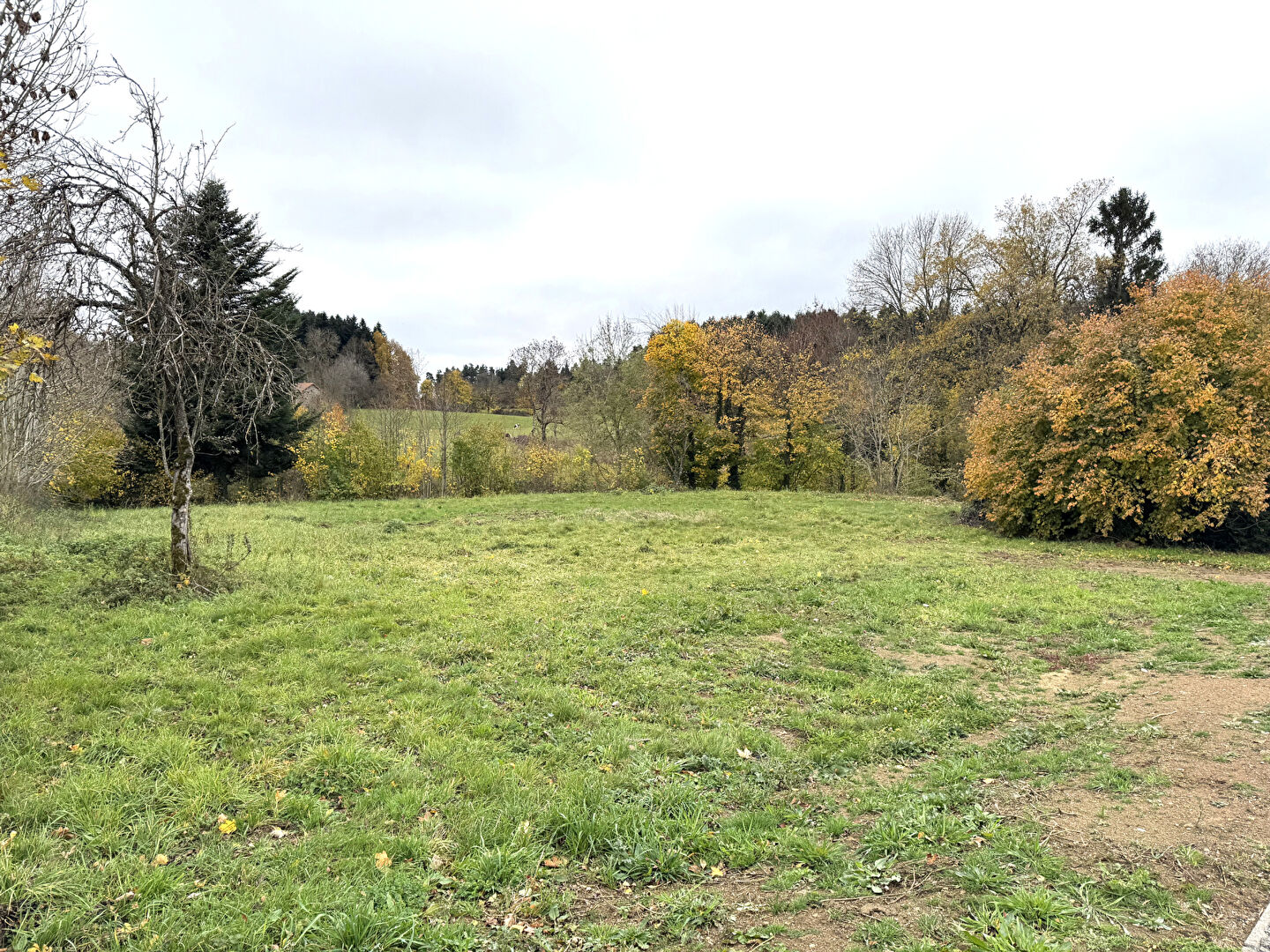 Photo TERRAIN (Parcelle de terrain de 807 m²) REF 708 image 1/4