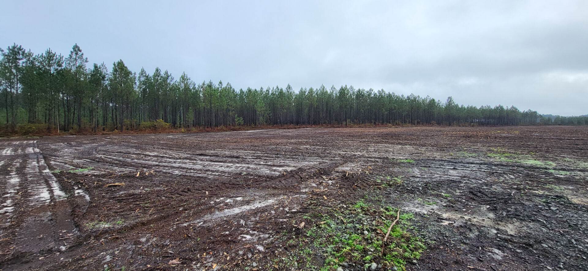 Photo À VENDRE ? TERRAINS CONSTRUCTIBLES À LINXE image 3/3