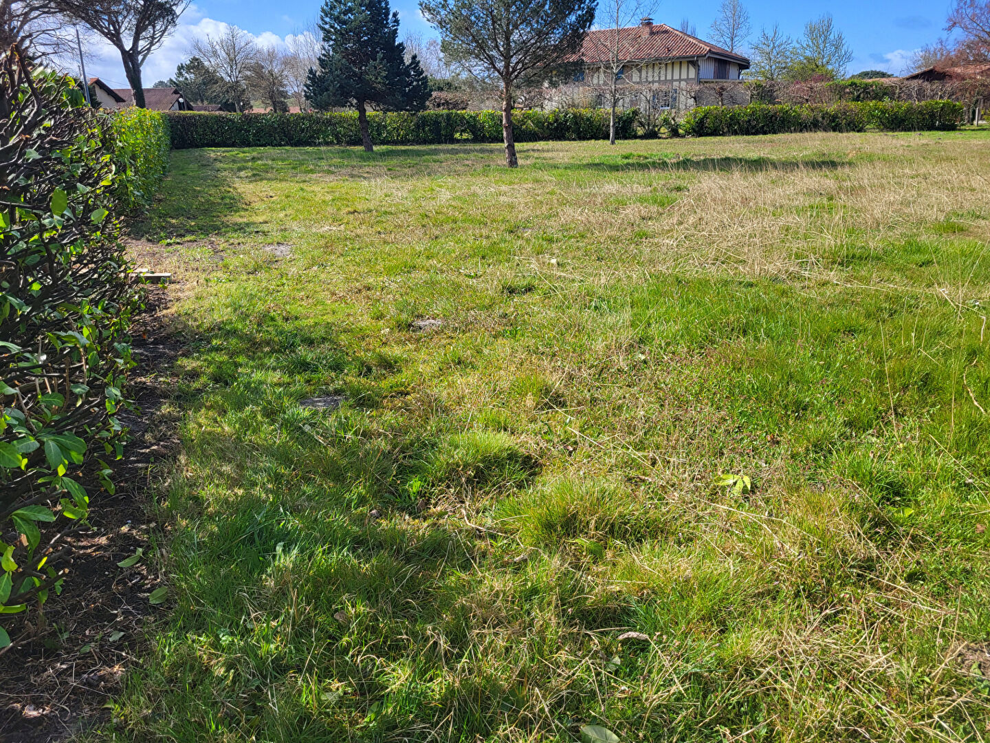 Photo Terrain d'exception à Léon image 2/3