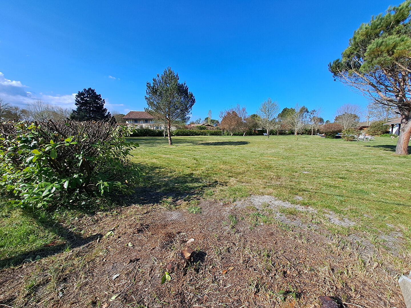 Photo Terrain d'exception à Léon image 3/3