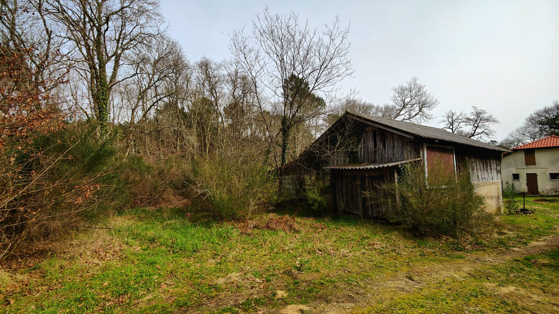 Agence immobilière de Coté Patio Léon