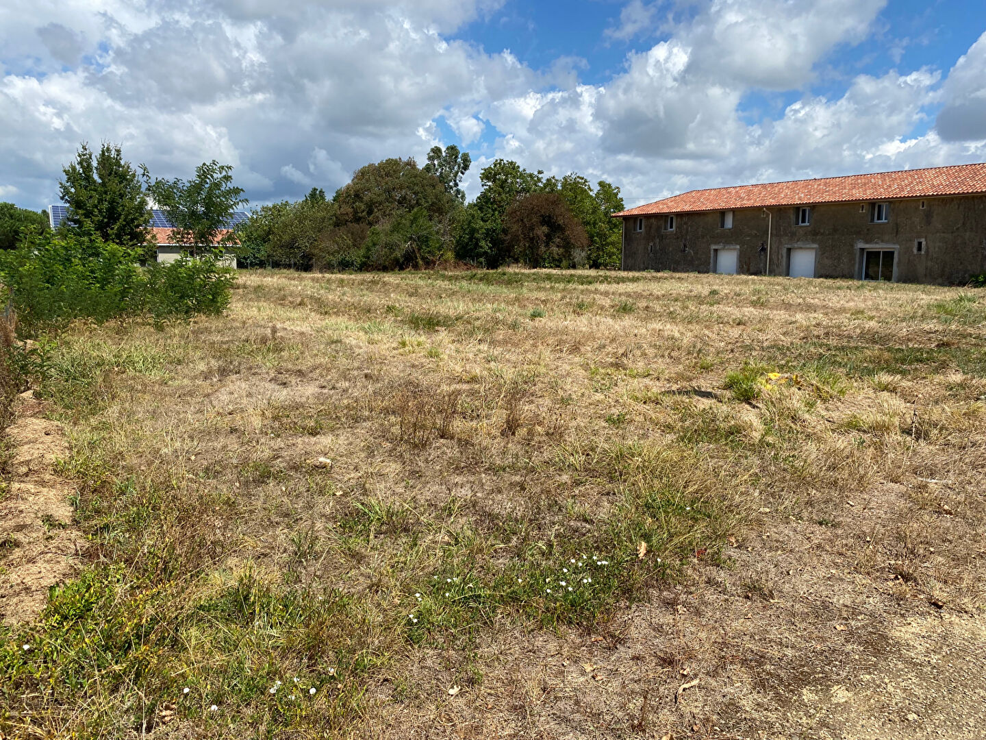 Agence immobilière de COTE PATIO IMMOBILIER- Aire Sur Adour