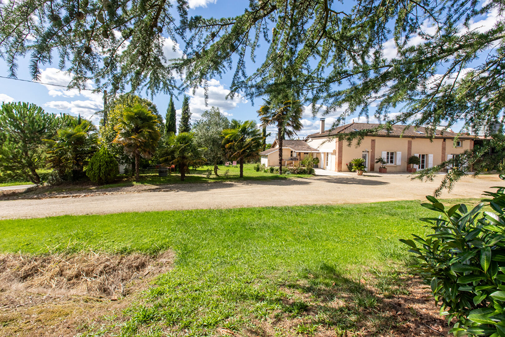 Agence immobilière de COTE PATIO IMMOBILIER- Aire Sur Adour